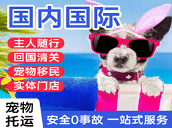 临沧博尚国际宠物托运 【国